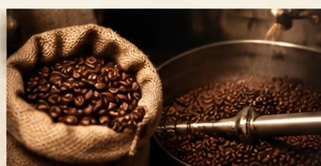 Sélection et torréfaction des grains de café